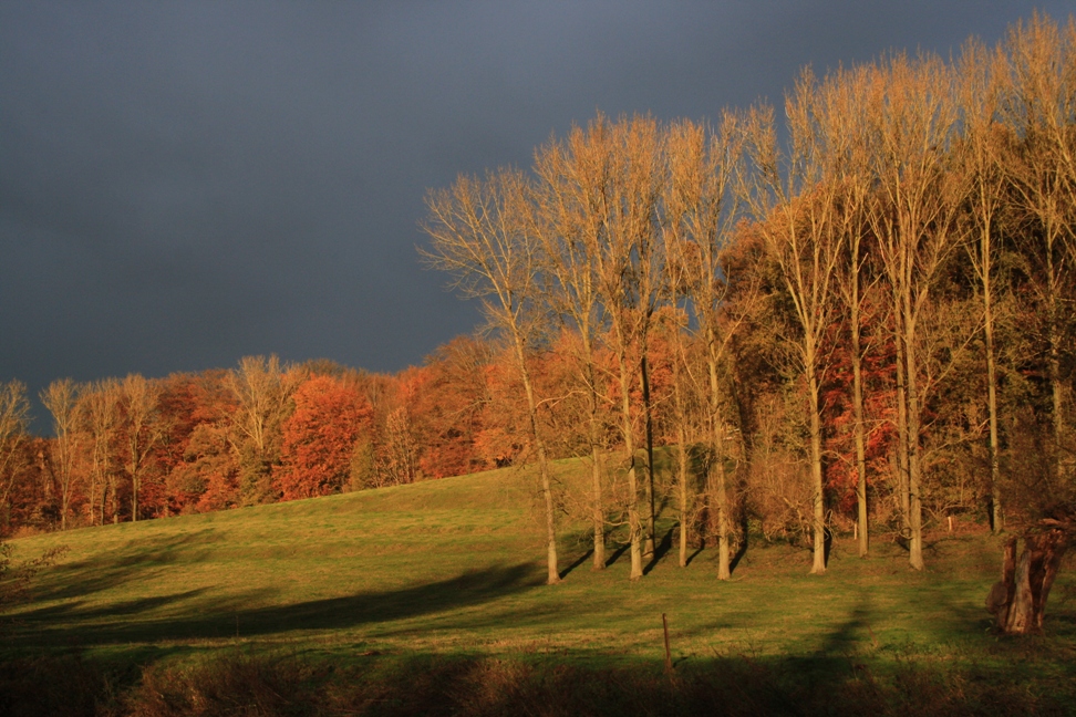 foto omschr